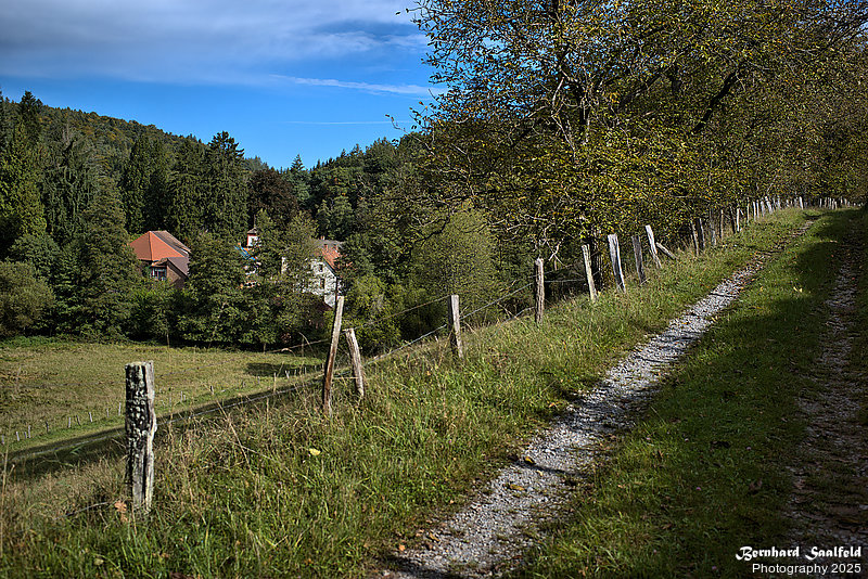 Bernhard Saalfeld - Spessart (3v9)